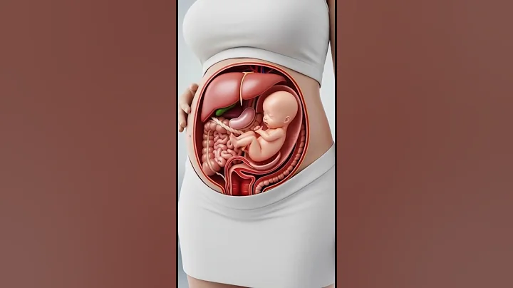 Inside a Mother’s Body 👶How Life Grows Before Birth #miracleinmotion #pregnancyshorts  #baby