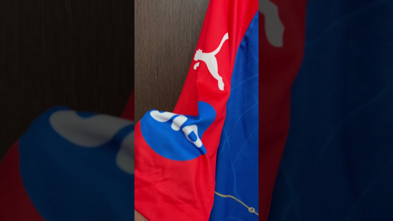 Puma x DC 2024 Replica Official Jersey 