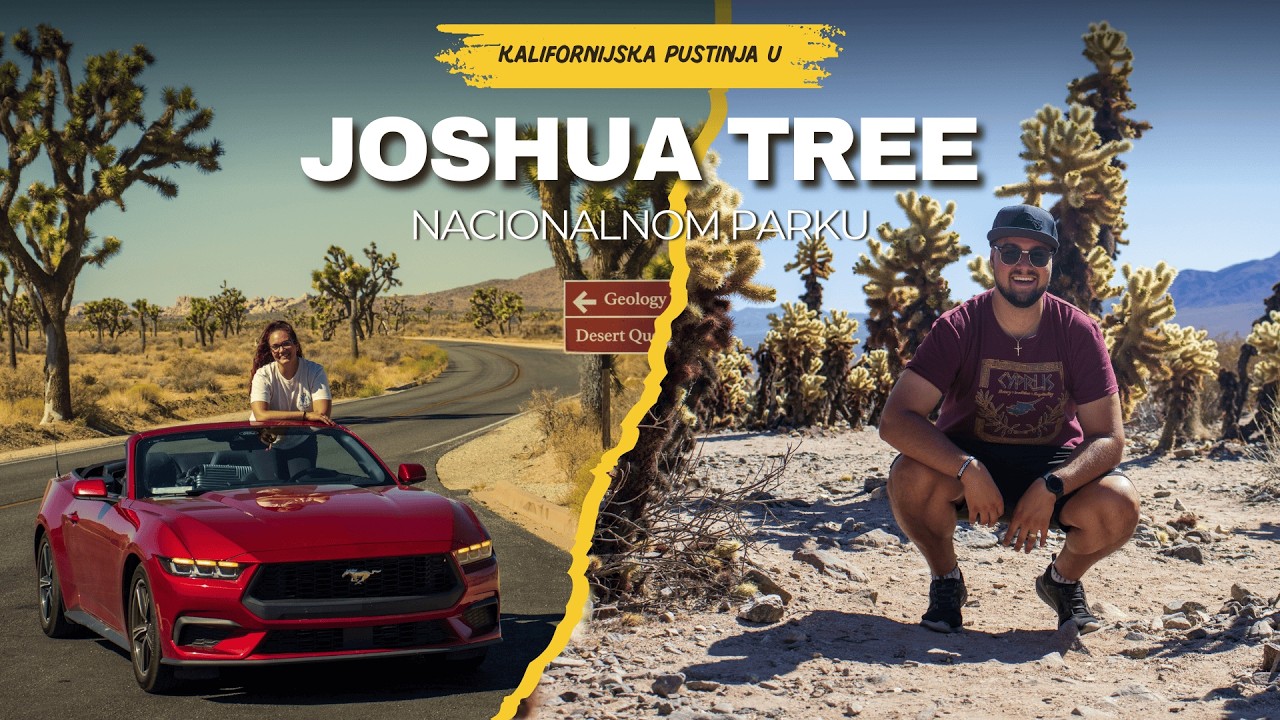 Jedan dan u pustinji Kalifornije 🌵 Vodič za Joshua Tree