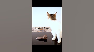 Easy rust removal with electricity #shorts