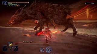 Elden Ring Nightreign - Executor solo Gladius