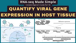 Quantify Viral Gene Expression in RNA-seq: STAR & featureCounts