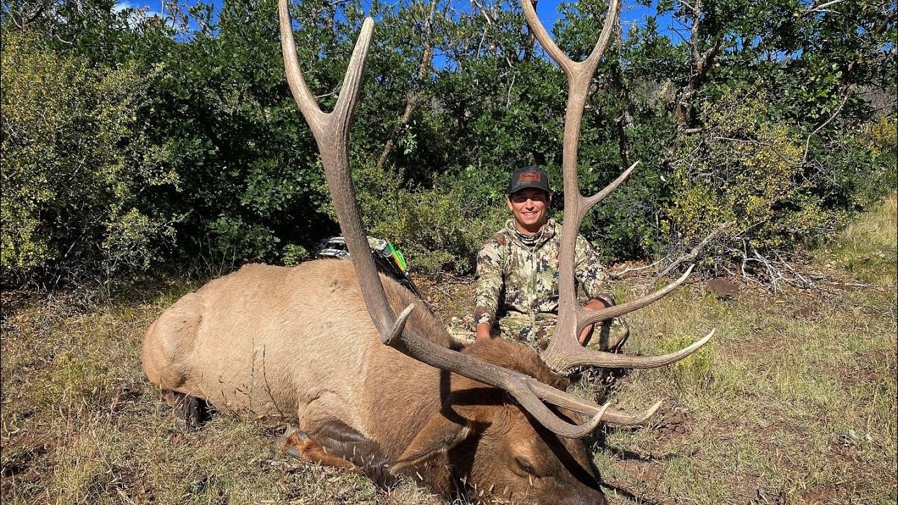 Through the Grey New Mexico Archery Elk 2021 YouTube