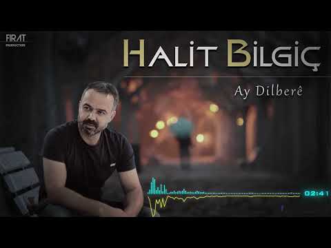 Halit Bilgiç - Ay Dilberé / 2021