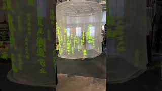 Next-Level Gauze Screen Projection | Interactive Projection for Events & Exhibitions
