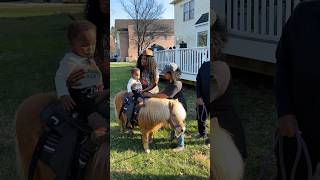 One Year Old Av Rides Pony