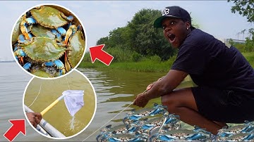 Catching BLUE CRABS using CHICKEN & A STRING | Catch & COOK! Galveston, TX!