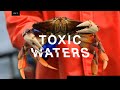 Who’s to blame for the neurotoxin poisoning the Pacific?