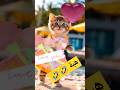 ترند هبة هبه المغرب العراق السعودية قطر الامارات الكويت البحرين اليمن الجزائر Cat Shorts ترند هبة هبه المغرب العراق السعودية قطر الامارات الكويت البحرين اليمن الجزائر Cat Shorts