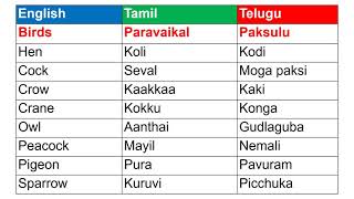 Learn Telugu | Spoken Telugu through Tamil | Part 23 | Happy To Teach screenshot 3