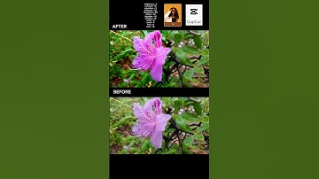 CapCut Colour Grading Tutorial | Make Videos Cinematic
