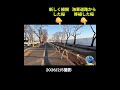 2026/2/7  GREEN X EXPO 2027（2027年国際園芸博覧会）地元民の視線から　第17回　入り口付近の桜の木　コシノヒガン