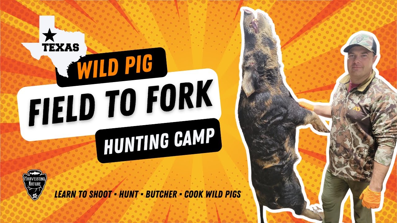 Texas Wild Pig Field to Fork Hunting Skills Camp YouTube