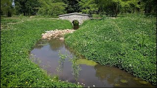 Tower Grove Park Daylighting Project