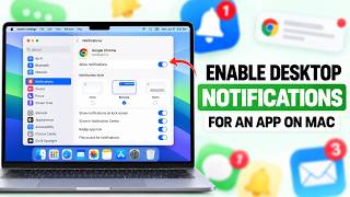Full How to Enable Desktop Notifications for an App on Mac Guide