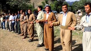 Koma Gel Yeni Resimi