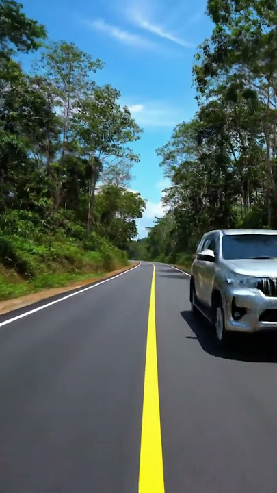 Jelajahi jalan mulus di hutan lindung#jalanmulus#hutanlindung#jalanhutan#jelajahhutan#huntara