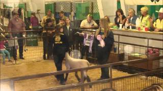 Enumclaw FFA Banquet Slideshow 2012