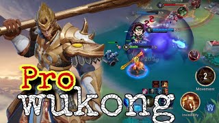 Wukong Jungle Pro Gameplay  Hard Carry Insane Damage  Arena Of Valor Lin Qun Mobile Cot