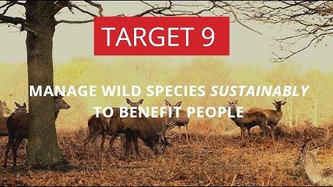 Transformative actions needed to impement the KMGBF Target 9!