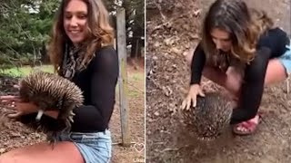 Samantha Strable is seen holding an echidna is resurfaced video Samantha Strable 6853630