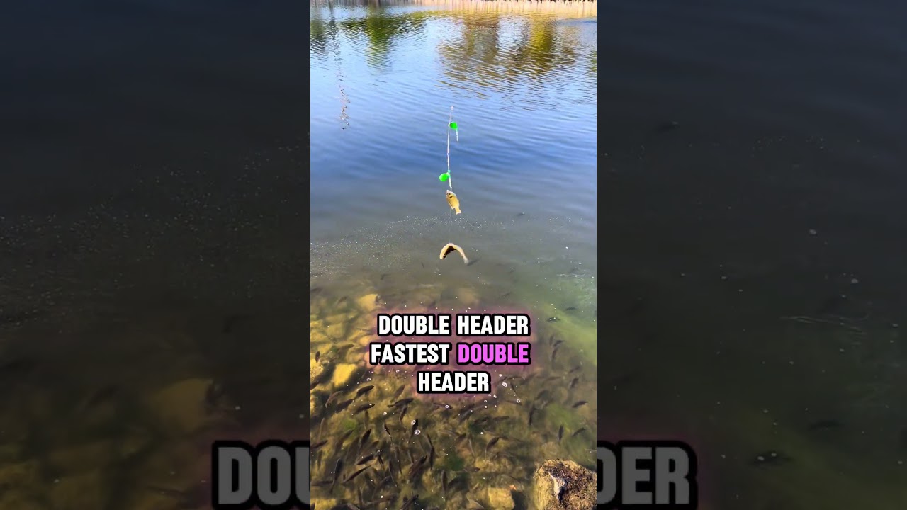 Не могу поверить, что это случилось! Двойной улов! 🎣🐟🐟 