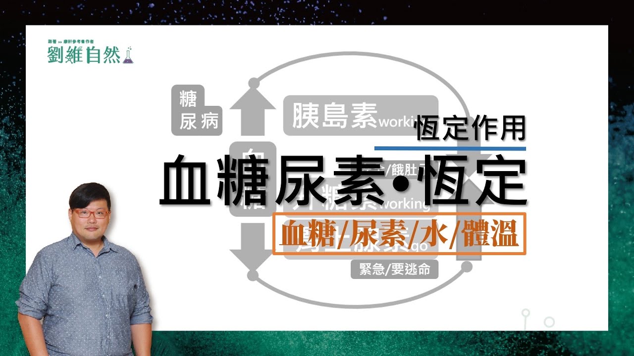 |生物教學|108課綱|血糖恆定|體溫|水份|尿素|國中生物  (blood sugar | Body temperature | Moisture | Constant urea)