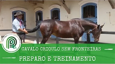 O que é bom passar na cola do cavalo?