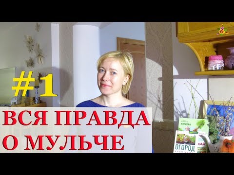 ВСЯ ПРАВДА О МУЛЬЧЕ #1