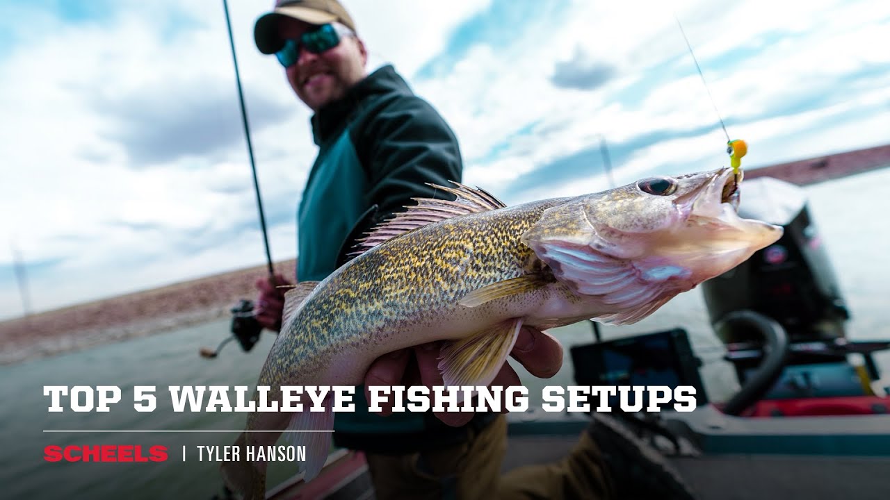 Top 5 Walleye Fishing Setups