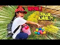 Telur Ajaib?! 😱 Hanum Challenge: Cari & Temukan Telur Warna Di Taman...Seru Banget..!! 😍