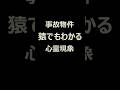 【事故物件】猿でもわかる心霊現象#35