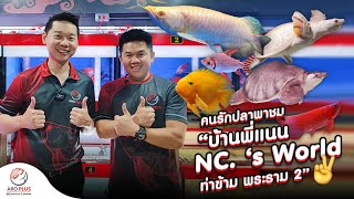 คนรักปลาพาคุย : โปรดี้อโรพลัสให้เกียรติมาชมปลาที่ NC.เลี้ยงไว้ในบ้าน มีอะไรบ้างเอ่ย ? เชิญรับชมครับ