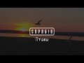 Скрябін Птахи Lyric Video
