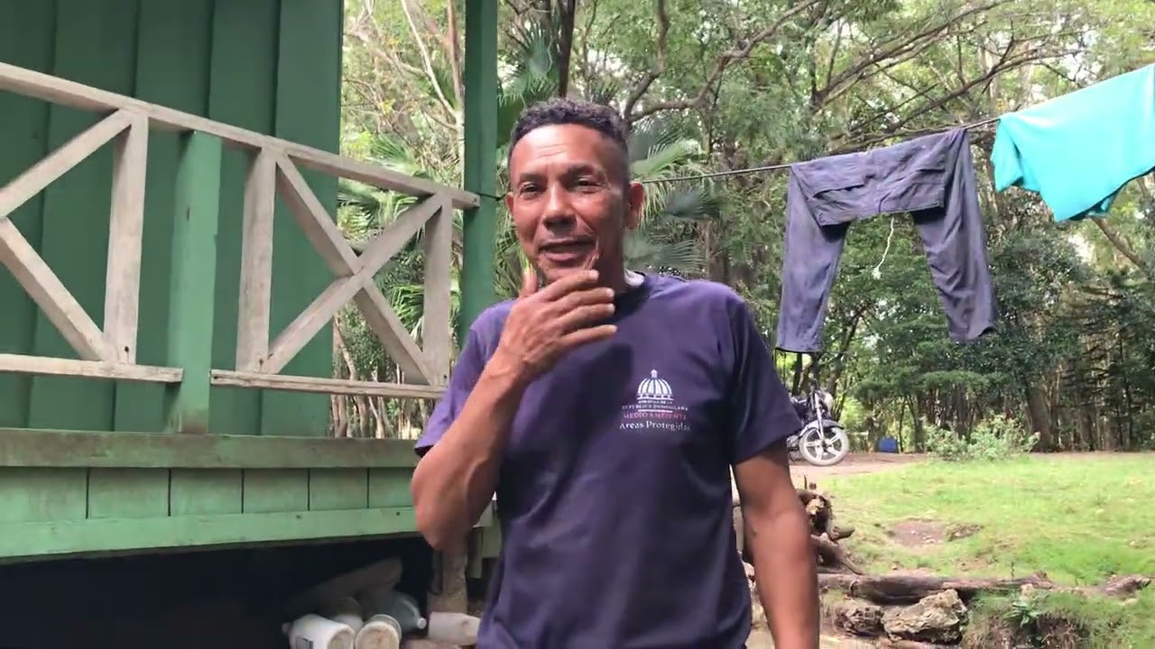 Hoy 3de marzo día mundial de la vida Silvestres 