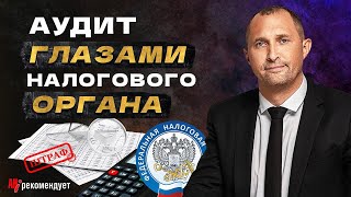 Аудит глазами налогового органа