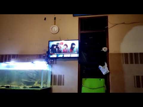 iklan hp Cherrybelle Maxtron (2011) febio nakacius 2012