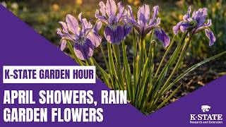 K-State Garden Hour Webinar: April Showers, Rain Garden Flowers