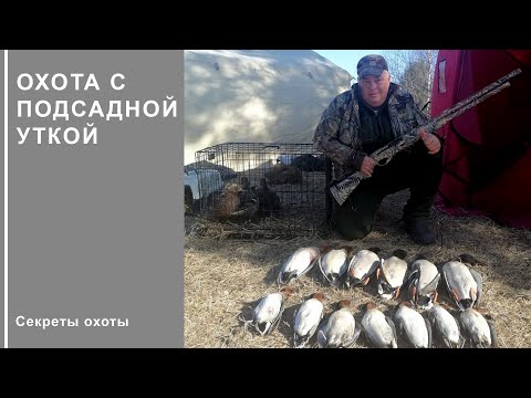 Охота с подсадной уткой/Секреты охоты с подсадной