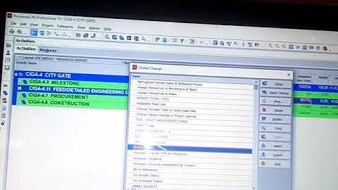 EPC WEEKLY PROGRESS REPORT