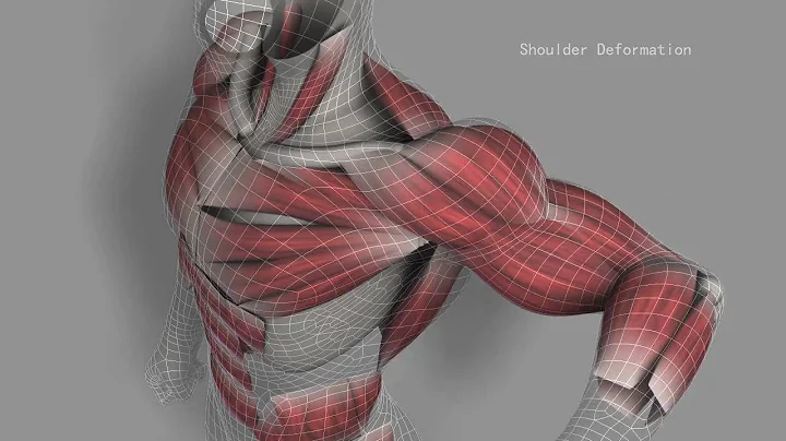 Riging Showreel - Muscle Simulation