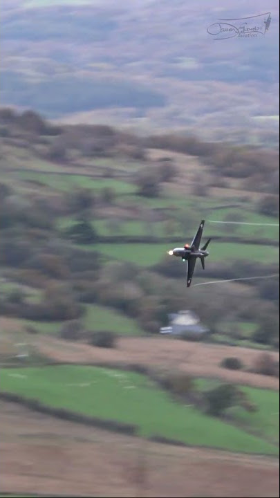 Hawk T2 Low Pass