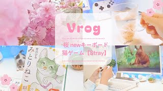 【Vlog】桜摘み newキーボード開封 猫ゲーム／YUNZII ACTTO B305／Stray