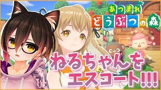 【あつ森】ねるちゃんをボクの島にご招待🏝💛【ホロライブ/ロボ子さん】