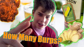 How Many Burps Can I Do Of A 1 Liter Ginger Ale L Very Hard