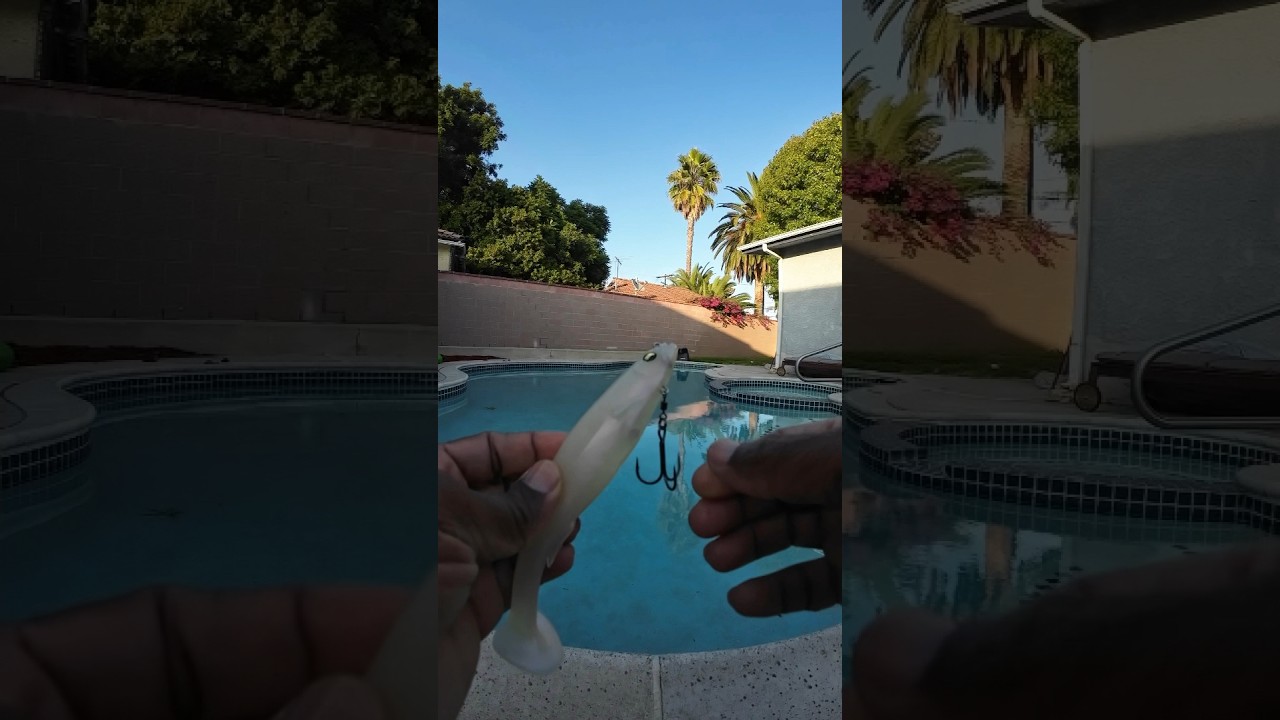 Mega Bass Mag Draft.