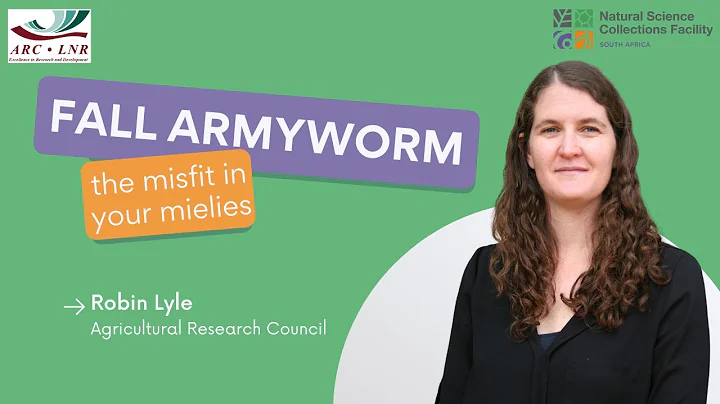 Fall armyworm: the misfit in your mielies | Robin ...