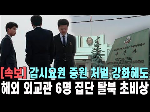 속보! 북한 외무성 발칵 뒤집혀… 해외 외교관 6명 집단 탈북, 평양 초비상