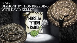 Famous Breeding Diamond Pythons w/David Kelley Net Worth