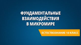 Фундаментальные взаимодействия в микромире